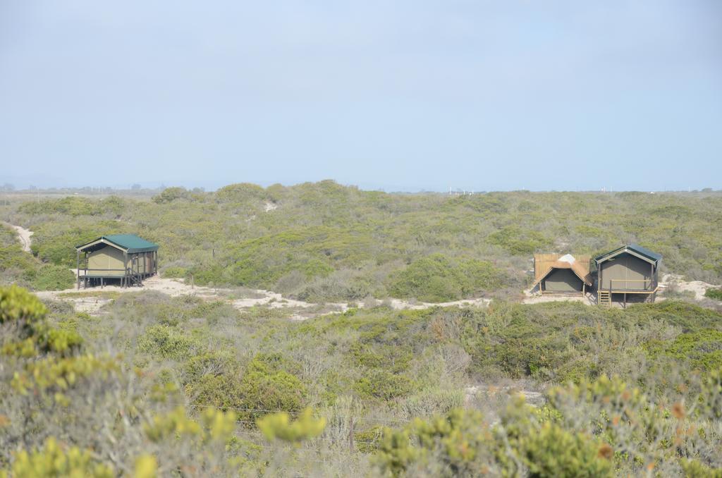 West Coast Luxury Tents Dwarskersbos Exterior foto