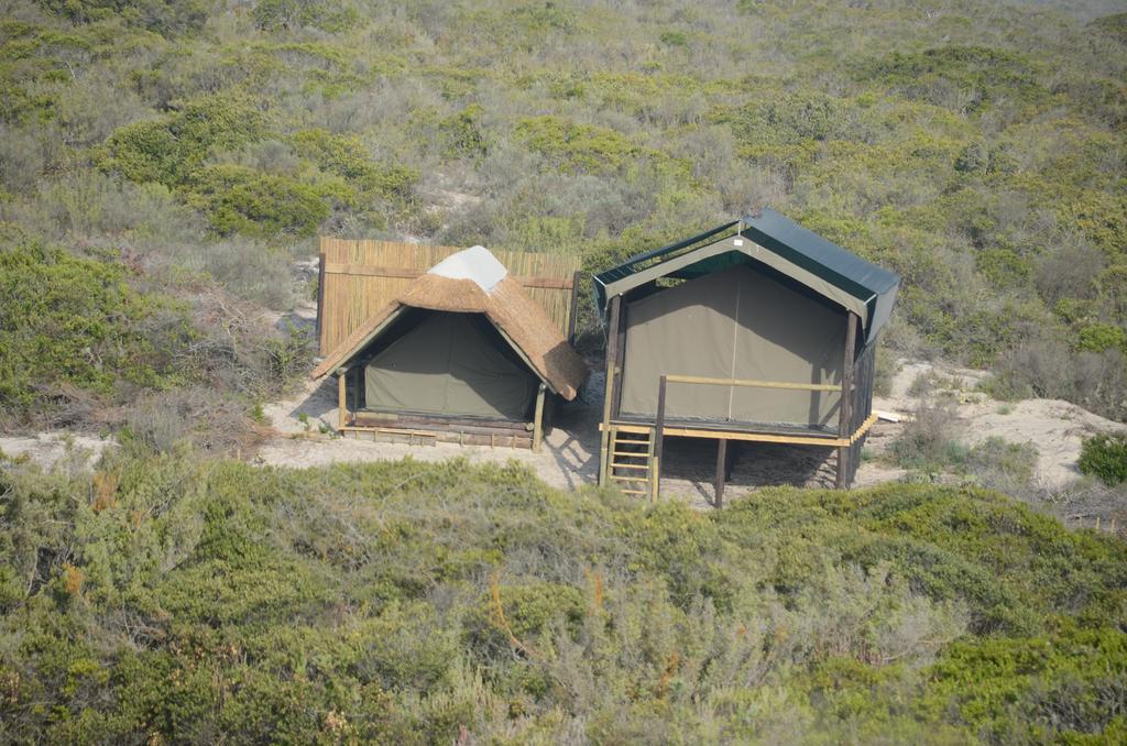 West Coast Luxury Tents Dwarskersbos Exterior foto